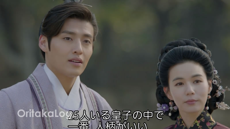 「麗～花萌ゆる8人の皇子たち」の感想